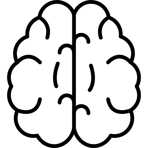 hirn_icon